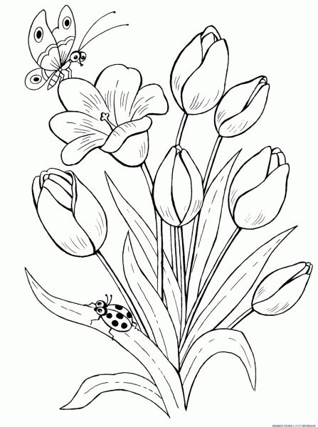 Imagens De Flor Para Pintar Coloring City