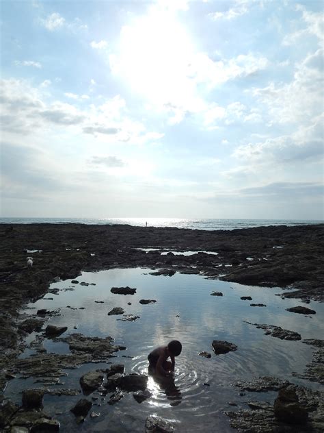 Rock Pool Free Stock Photo Public Domain Pictures