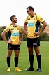 ACT Brumbies lock Rory Arnold’s head in the clouds after meteoric rise ...