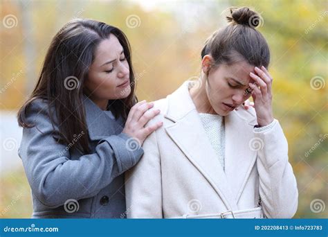 Mujer Consolando A Su Triste Amiga En Un Parque En Invierno Imagen De