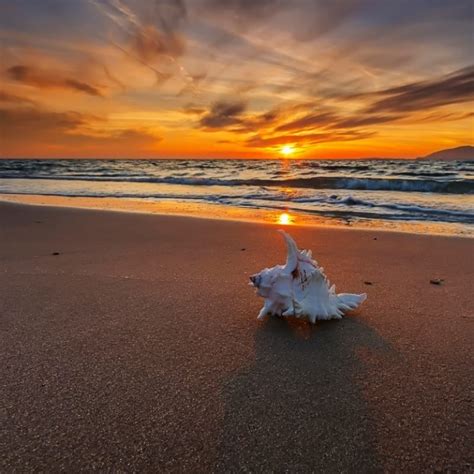 Top beach wallpaper, beach wallpapers hd 1600x1200. 10 Most Popular Free Beach Sunset Wallpaper FULL HD 1080p ...