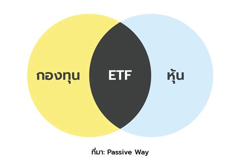 กองทุน ETF คืออะไร ทำไม Berkshire ของบัฟเฟตต์ ยังต้องซื้อ | Passive Way