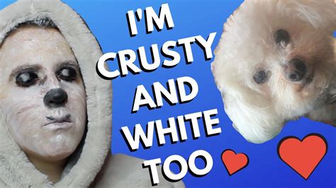 Turning Into My Crusty White Dog 💕 Youtube