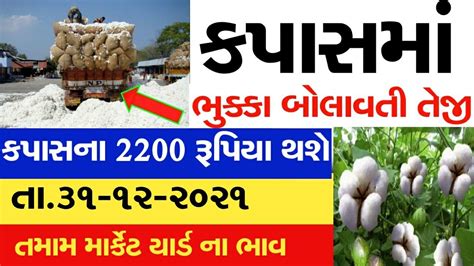 Kapas Na Bhav 31 12 2021 કપાસના ભાવ2021 Information About Cotton