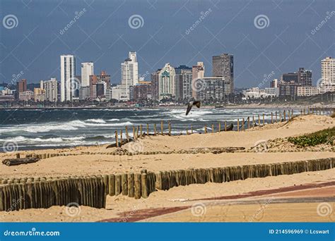 View Across Sand To Hotels On Durban S Golden Mile Stock Image Image