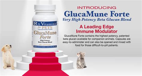 150 clearbrook road suite 149 elmsford, ny 10523 phone: Rx Vitamins for Pets