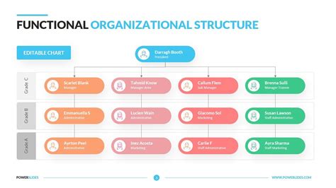Creion Oboseală Cotitură Functional Organizational Structure
