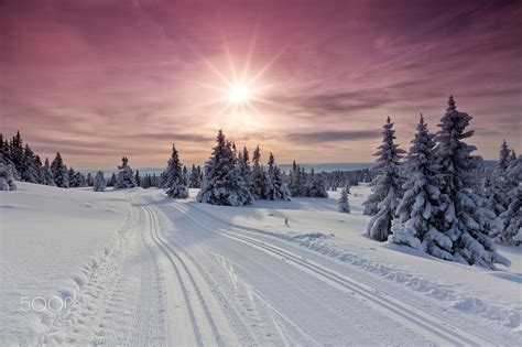 Cross Country Ski Track At Sunset Cross Country Skiing Lillehammer