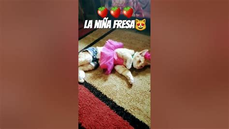 Ya Asta Mi Gata Se Cree Fresa 🤣🤣🤣🤣🤣 Youtube