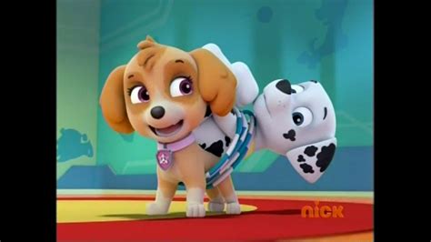 Skye The Cockapoo PAW Patrol Photo 40127359 Fanpop