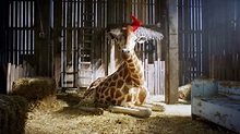 Mein Freund, die Giraffe | Cineplexx AT