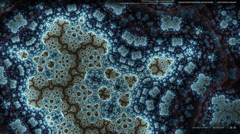 Wallpaper Abstract Rock Fractal Pattern Texture Tree Reef