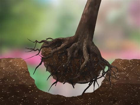 Find the root posing an issue and trace it back to the base of your tree. 3 Ways to Remove a Tree - wikiHow