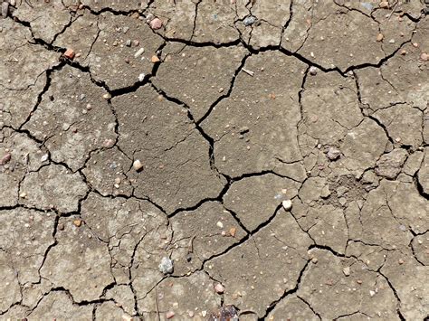 Dried Mud Cracks Texture Picture Free Photograph Photos Public Domain