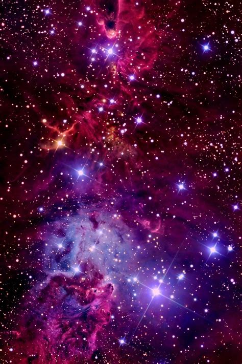 Ngc 2264˚christmas Tree Cluster Fox Fur Nebula And Cone Nebula In The