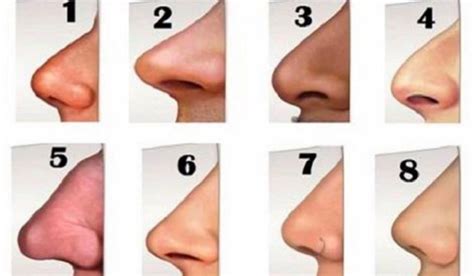 The Shape Of Your Nose Reveals Something About Your Personality Namastest