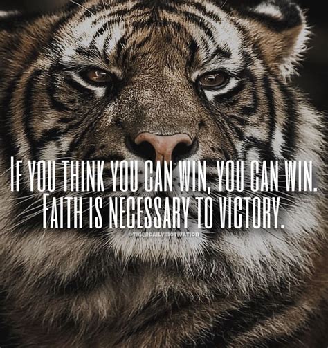 Tiger Motivational Quotes 🐯 On Instagram “double Tap And Comment If