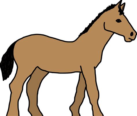 Dihalaman ini anda akan melihat gambar animasi hewan angsa yang apik! 58+ Gambar Animasi Hewan Kuda
