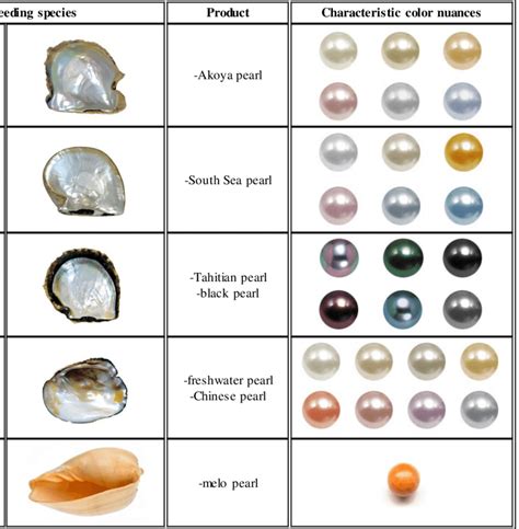 Different Types Of Pearl Producing Species First Two Columns Trade