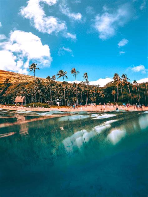 10 Best Snorkeling In Oahu Idiveblue Sans Souci Kuilima Waikiki