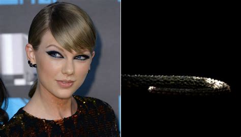 Taylor Swifts Shifty Snake Video Probably Means New Music Newshub