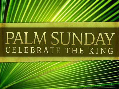 Reminder Palm Passion Sunday • Color Purple • Sunday 2017 April 9