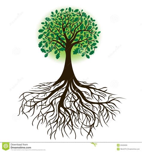 How deep tree roots grow depends on three simple factors. Oak Tree With Roots And Dense Foliage, Vector Stock Vector ...
