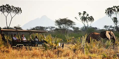 Meru National Park Kenya Safari Holidays Yellow Zebra Safaris