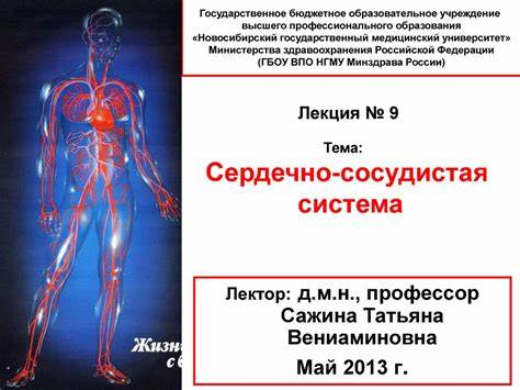 Диета сердечно сосудистая система Сердечно-сосудистая система - презентация онлайн Сердечно-сосудистая система - презентация онлайн Диета сердечно сосудистая система