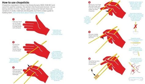 Learn from the chopstick experts. How to use chopsticks. : Infographics
