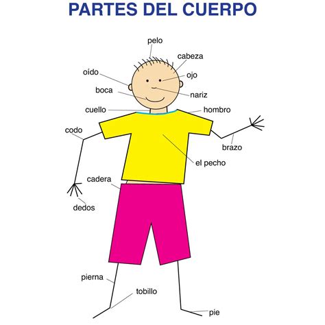 Spanish Body Parts Educational Laminated Chart