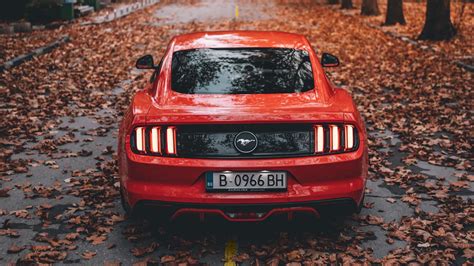 Hd Wallpaper Autumn Ford Mustang Sports Car