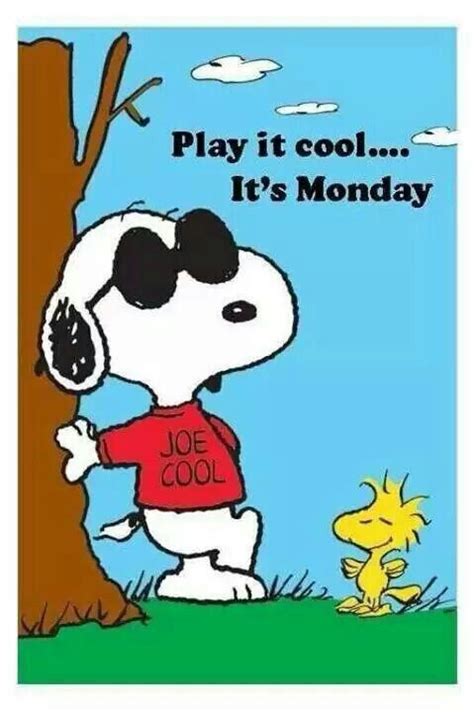 Play It Cool Its Monday What Day Is It Snoopy Snoopy Pictures
