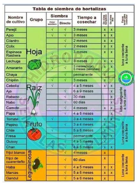 Tabla De Siembra De Hortalizas Pdf