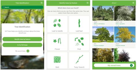 Identify Trees With The Woodlands Trust Tree Id App — Belarmine