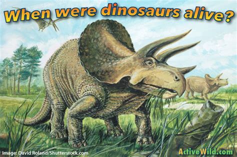 Dinosaur Periods When Were Dinosaurs Alive Information