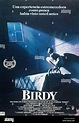 Original Film Title: BIRDY. English Title: BIRDY. Film Director: ALAN ...