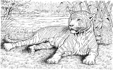 Tiger 13742 Animals Free Printable Coloring Pages