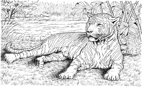 Dessin Tigre #13742 (Animaux) à colorier – Coloriages à imprimer