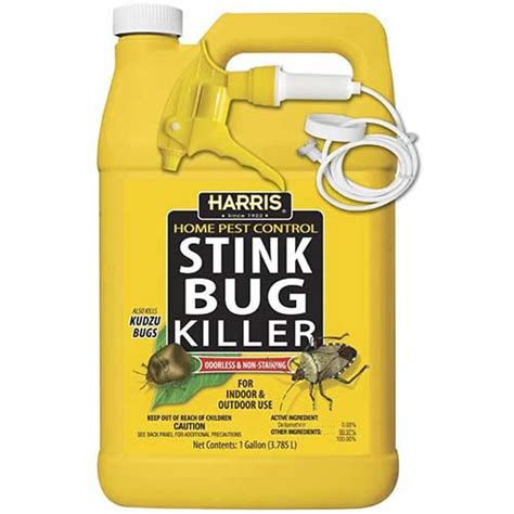 7 Best Ways To Get Rid Of Stink Bugs In 2022 Pro Guide