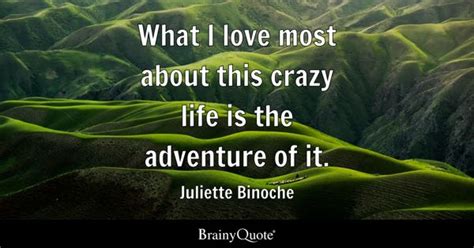 Crazy Life Quotes Brainyquote