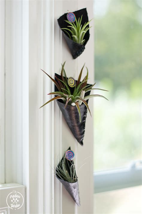 Diy clay hanging air plant holders 14. How to Make Leather Pocket Air Plant Holders