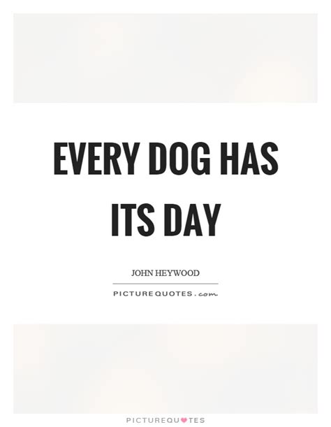 Where Does The Saying Every Dog Has Its Day Come From