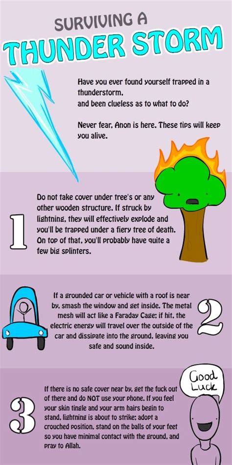 Surviving A Thunderstorm Free And Best Infographics Survival