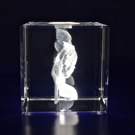 Photo Crystal Cube Large 3d Au