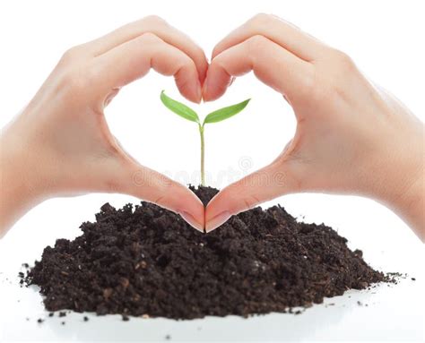 Love For Nature Concept Stock Photo Image Of Earth Delicate 28712006