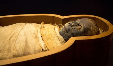 Ancient Egypts Mummification Ingredients Came From Far Flung Locales