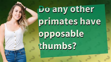 Do Any Other Primates Have Opposable Thumbs Youtube