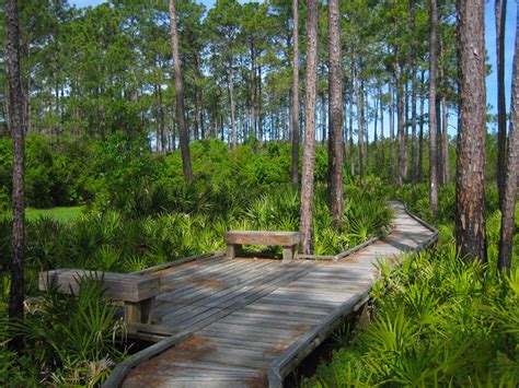 Hotelguides.com > florida > lake park hotels & motels. Osceola National Park 2020, #1 top things to do in lake ...