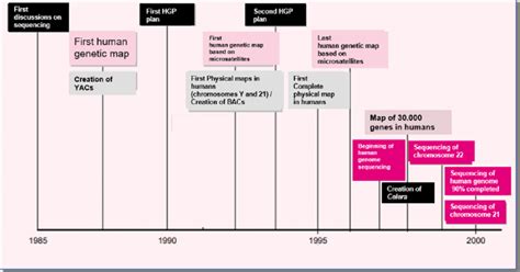 Timeline Of The Main Steps Involved In The Human Genome Project Hgp